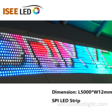 144 ፒክስክስክስ በአንድ ሜትር ፒክስል የ LED STRAMEMEM